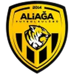 Aliağa FK