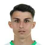 Mert Torlak