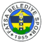Fatsa Belediyespor