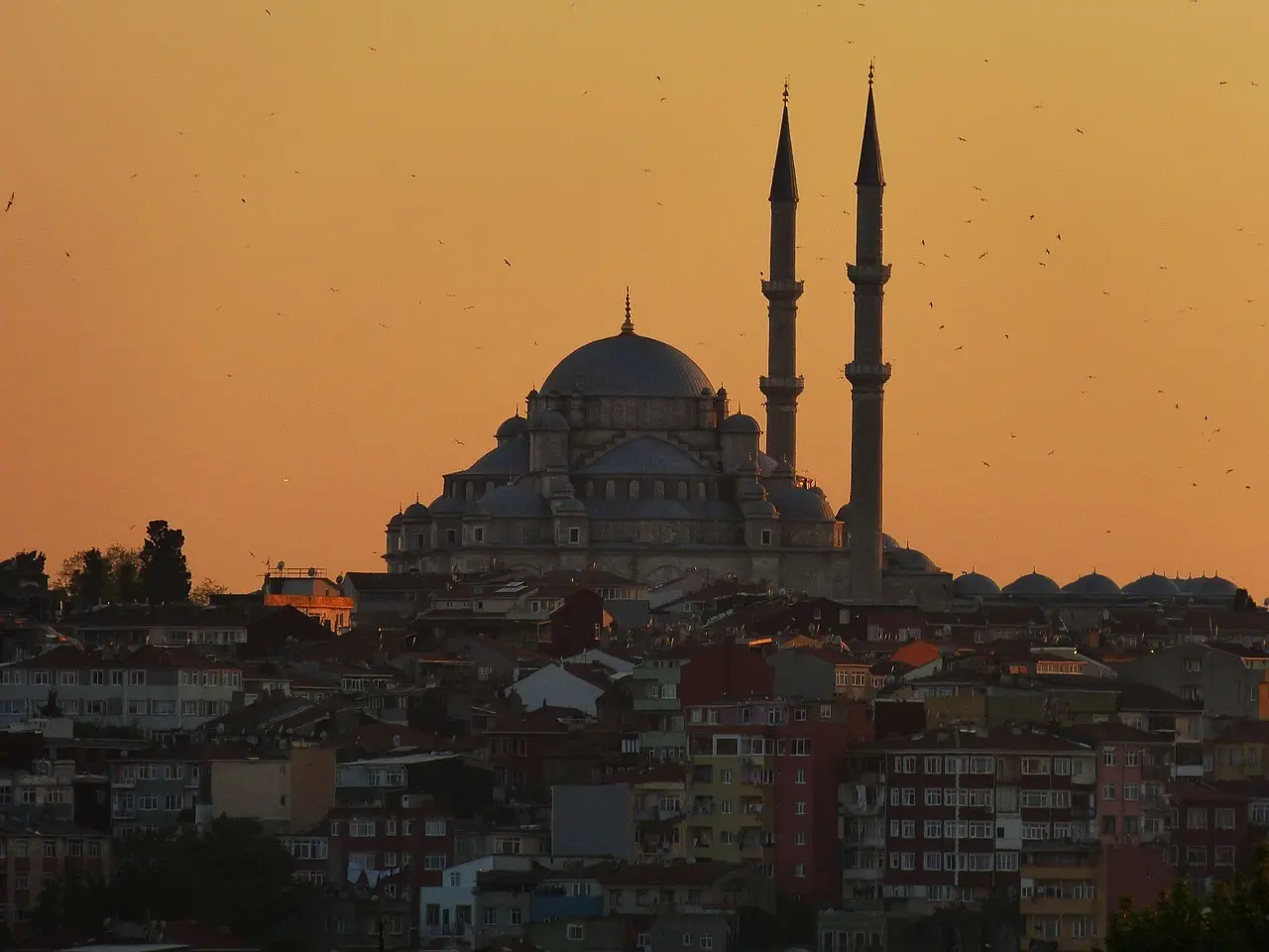 Hvordan er vejret i Istanbul i januar?