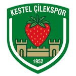 Kestel Çilek