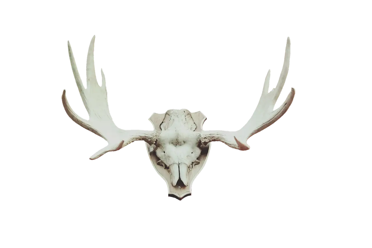 6 klubmuseer i Tyrkiet, der er værd at besøge