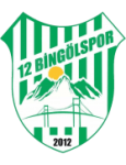12 Bingölspor